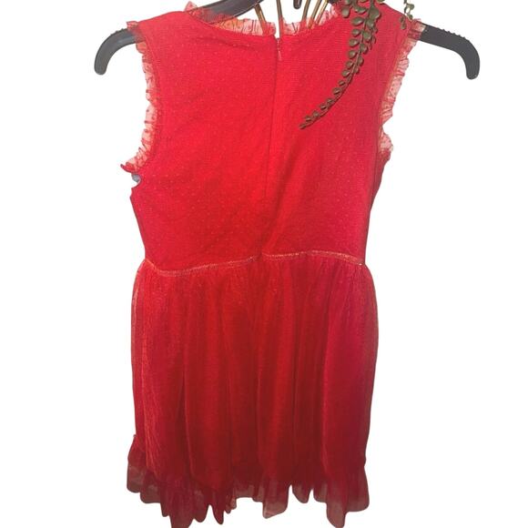 Mini Boden Girls Christmas Dress with Tulle and Embroidery Size 9-10 - Picture 2 of 4